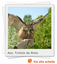 28042013 FALCONIERI