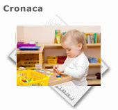micronido