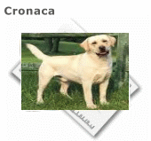 cane