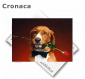 cane