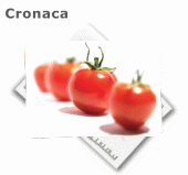 tomato