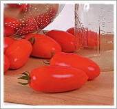sanmarzano