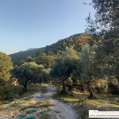 Conventosantelia Acquarola 8