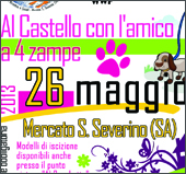 castello amico_cane