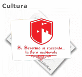 sanseverino racconta