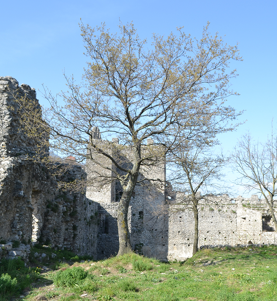 Il Castello dei Sanseverino