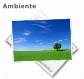 articoli-ambiente